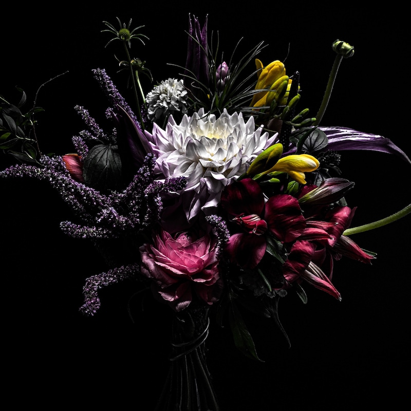 world's end girlfriend「Close to you」ジャケット写真