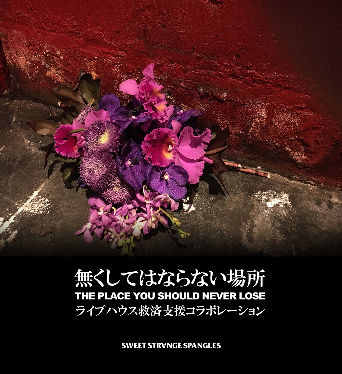 プロジェクト「"無くしてはならない場所"～THE PLACE YOU SHOULD NEVER LOSE～」ビジュアル