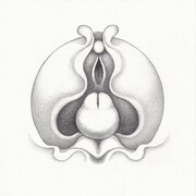 おおくぼけい「穀雨」配信ジャケット