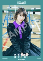 人気画像8位は「豆柴の大群、1stアルバムからナオ飲酒現場捉えた『FLASH』映像公開」より、豆柴の大群「スタート」タワーレコード特典ポスター（カエデフェニックス）。