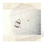 Muscle Soul「Freedom at Your Field ep.」ジャケット