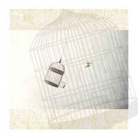 Muscle Soul「Freedom at Your Field ep.」ジャケット