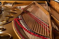 FAZIOLI（ファツィオリ）製ピアノ