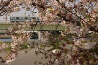 徳永ゆうきがサイクリング中に撮影した鉄道写真。