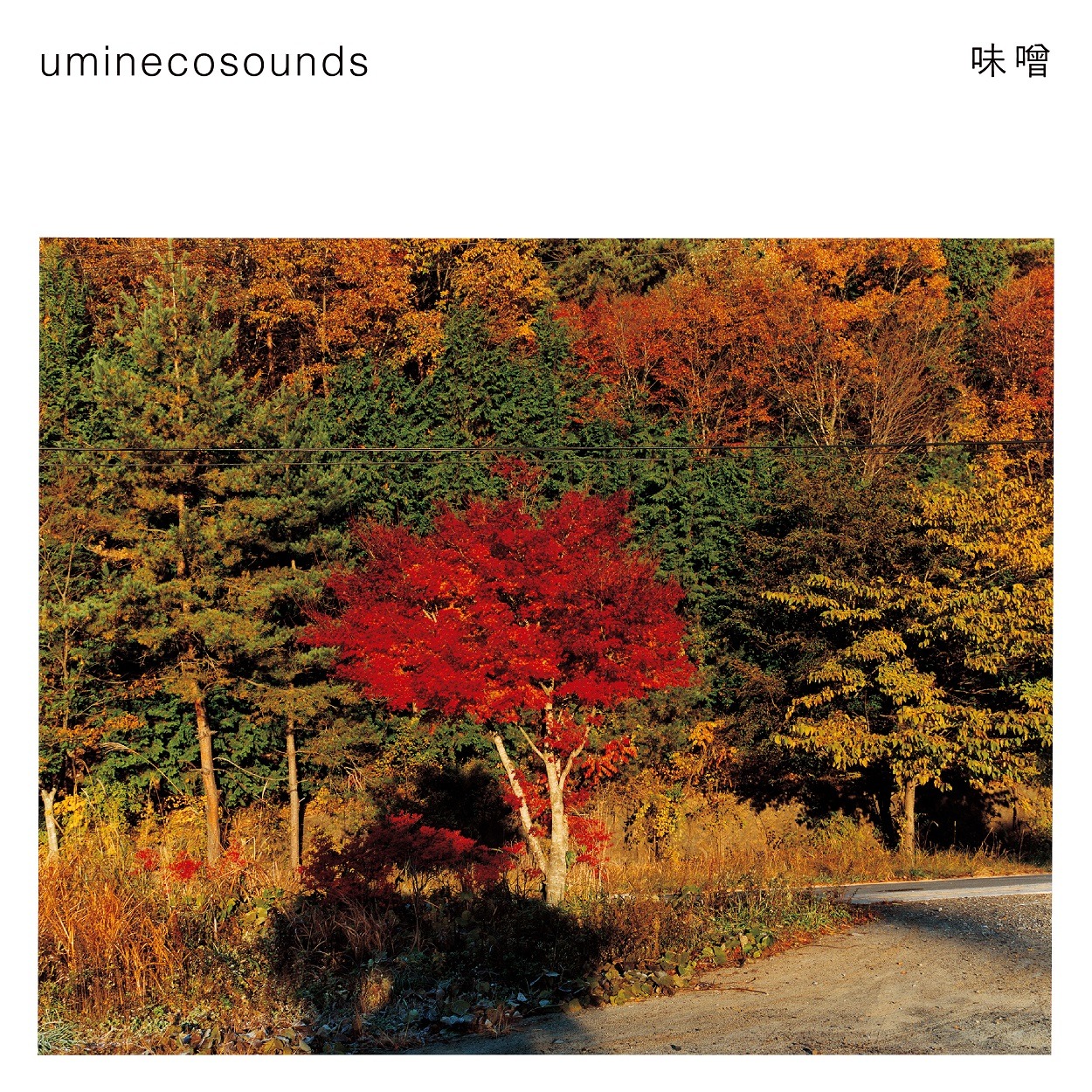 uminecosounds「味噌」ジャケット