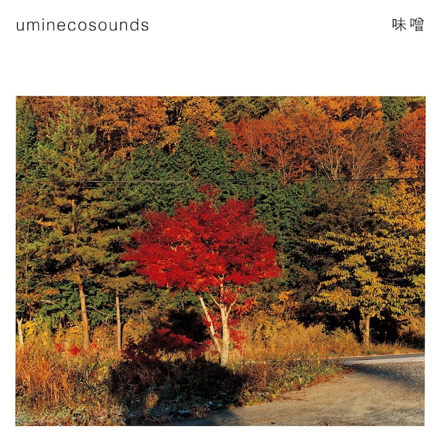 uminecosounds「味噌」ジャケット