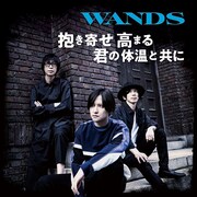 WANDS「抱き寄せ 高まる 君の体温と共に」初回限定盤ジャケット