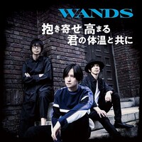 WANDS「抱き寄せ 高まる 君の体温と共に」初回限定盤ジャケット