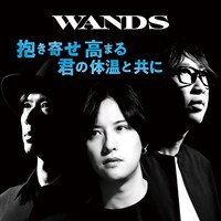 WANDS「抱き寄せ 高まる 君の体温と共に」通常盤ジャケット