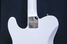 SILENT SIREN Telecaster