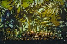 YOUR SONG IS GOOD（撮影：三浦知也）