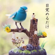 SASUKE「目覚めるだけ」ジャケット