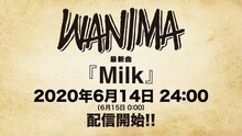 WANIMA「Milk」リリース告知画像