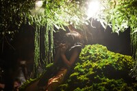 「YAKUSHIMA TREASURE LIVE at LIQUIDROOM 2019」より。