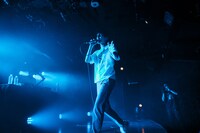 dodo（Photo by cherry chill will.）