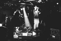 dodo（Photo by cherry chill will.）