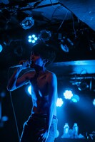 dodo（Photo by cherry chill will.）