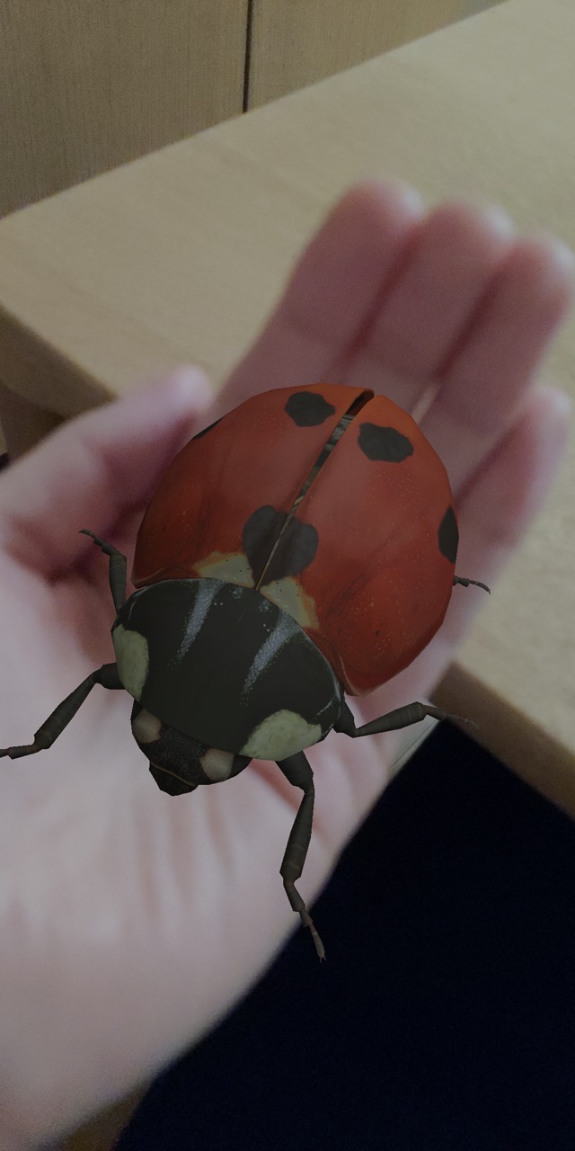 「AR SQUARE」の使用例。