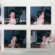 MASS OF THE FERMENTING DREGS「NAKED ALBUM」ジャケット