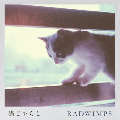 RADWIMPS「猫じゃらし」ジャケット