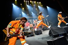 ユニコーン（写真提供：三浦憲治）