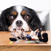 「超特急とおうちデート」集合バージョンのイメージカット。