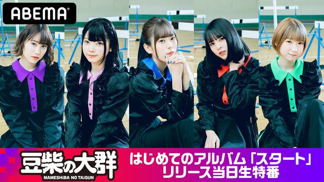 「豆柴の大群 はじめてのアルバム『スタート』リリース特番」告知ビジュアル