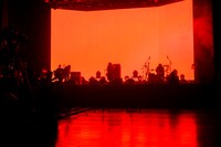 PEDRO「GO TO BED TOUR IN YOUR HOUSE」の様子（Photo by sotobayashi kenta）。