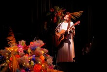 FLOWER FLOWER配信ライブ「インコの気まぐれ」より。