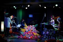 FLOWER FLOWER配信ライブ「インコの気まぐれ」より。