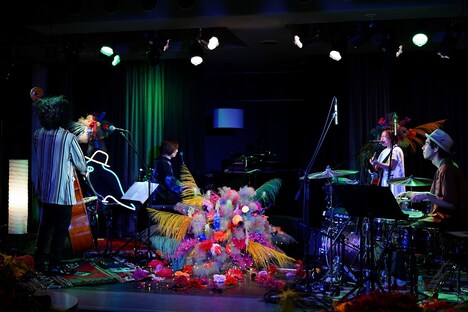 FLOWER FLOWER配信ライブ「インコの気まぐれ」より。