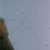 小山田壮平「サイン -Acoustic Ver.-」配信ジャケット