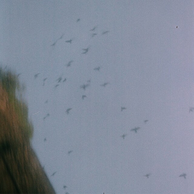 小山田壮平「サイン -Acoustic Ver.-」配信ジャケット