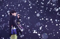 「米津玄師 2019 TOUR / 脊椎がオパールになる頃」幕張メッセ国際展示場公演の様子。