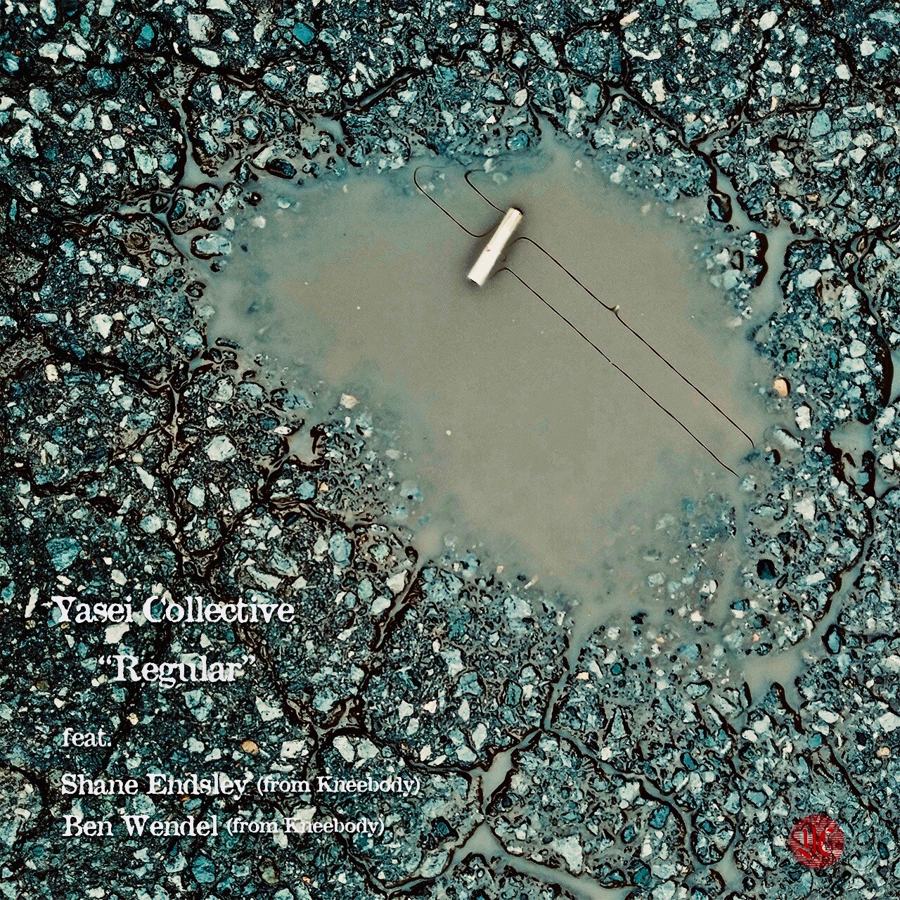 Yasei Collective10周年記念シングル第4弾で「Regular」リミックスVer.リリース