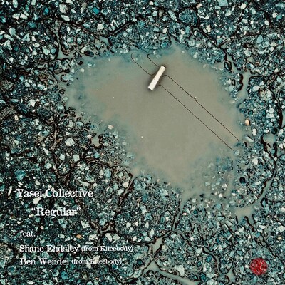 Yasei Collective「Regular 2020 Remix」配信ジャケット