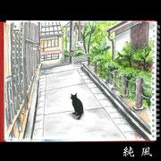 斉藤和義「純風」配信ジャケット