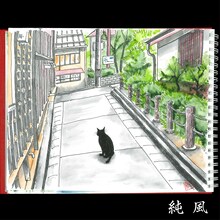 斉藤和義「純風」配信ジャケット