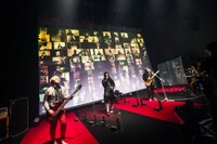 MUCC「～Fight against COVID-19 #2～『惡-THE BROKEN RESUSCITATION』」より。（撮影：田中聖太郎）