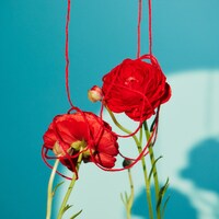 現在配信中のAI「ギフト」ジャケット。