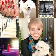 「東京グラフィティ」2020年7月号より、研ナオコ。