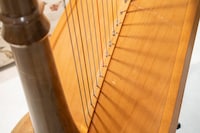 LYON & HEALY製ハープ。共鳴板にクラック（写真上部）が入っている。