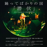 「踊ってばかりの国『潜伏』Live Viewing at LIQUIDROOM」告知ビジュアル