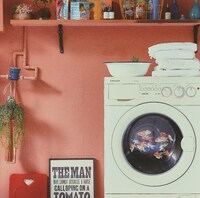 Lucky Kilimanjaro「エモめの夏」ジャケット