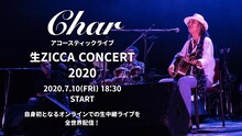 Char「生ZICCA CONCERT 2020」告知ビジュアル