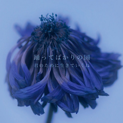 踊ってばかりの国「君のために生きていくね」アナログ盤ジャケット