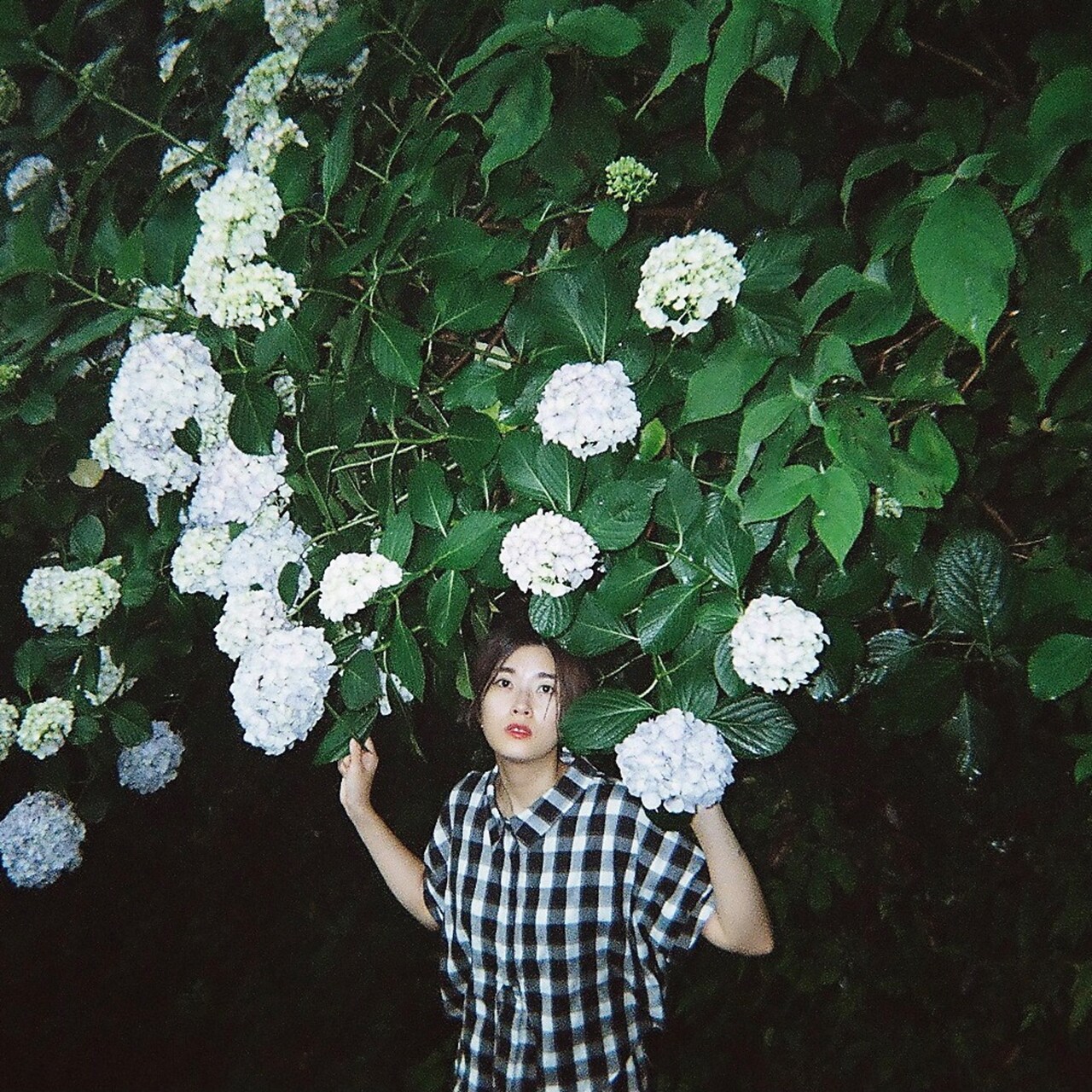 Ms.MachineのSAI新作「瑞典春氷」Bandcampはボーナストラック付き