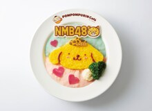 NMB48×POMPOMPURINチームカラーシチュー