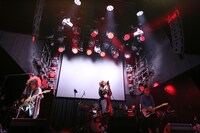 cali≠gariのライブの様子。