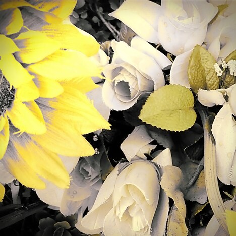 窪田渡「霞んだ昨日、雫の中の明日」配信ジャケット